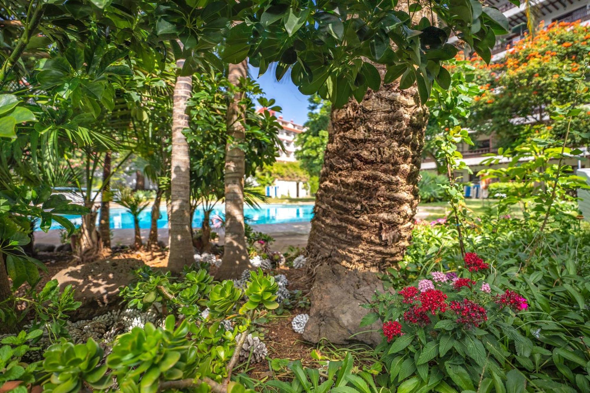 Coral Teide Mar Apart otel Puerto de la Cruz  Dış mekan fotoğraf